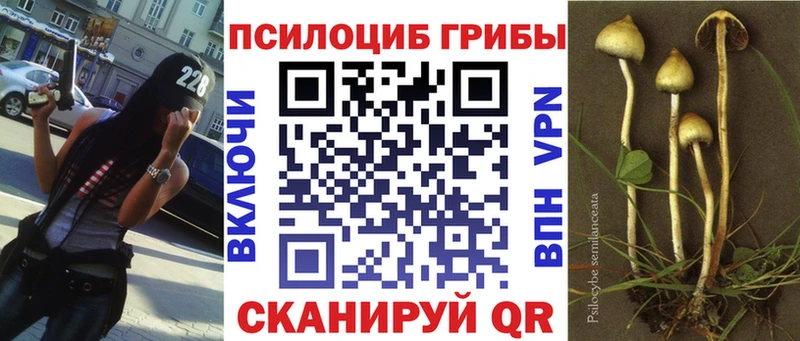 Галлюциногенные грибы Magic Shrooms  Лакинск 